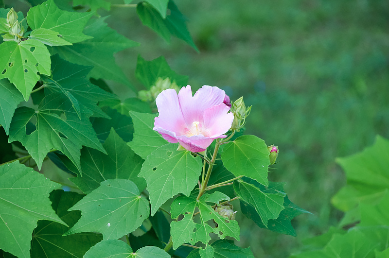 image0110
