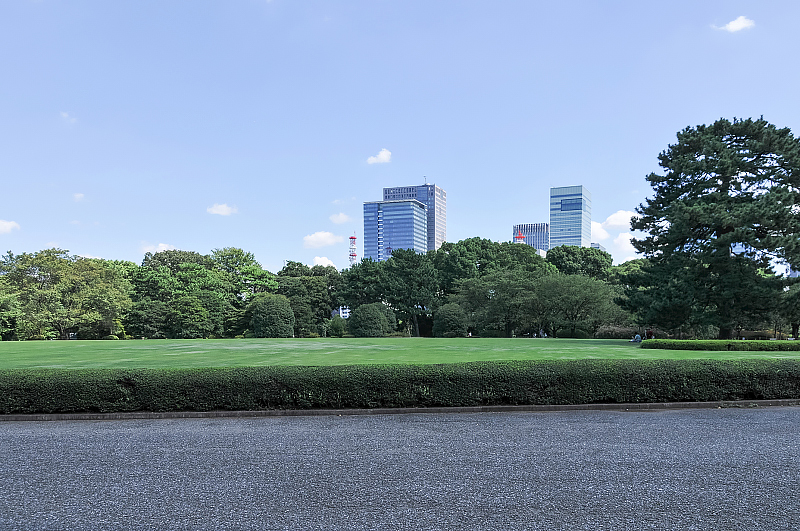 image0113