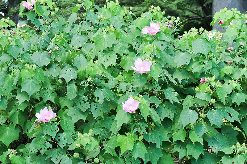 image0114