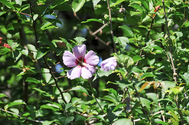image0123