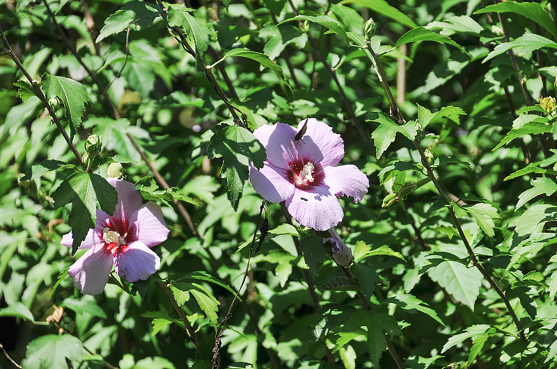 image0124