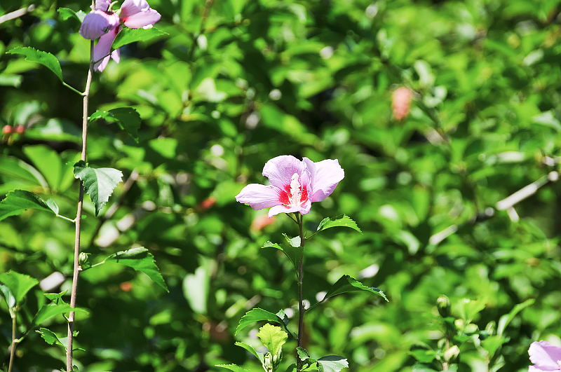 image0125