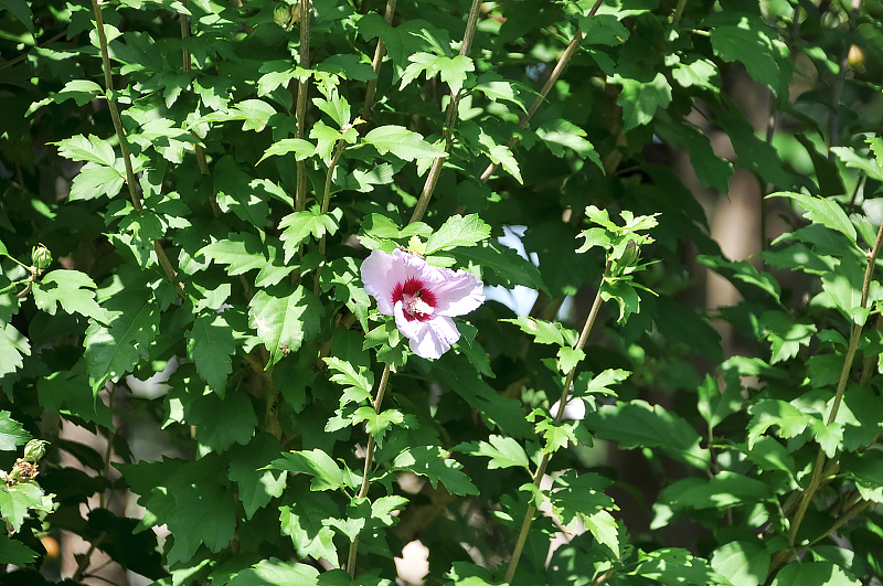 image0127
