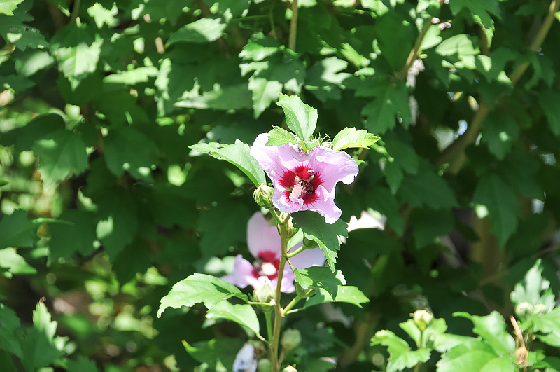 image0128