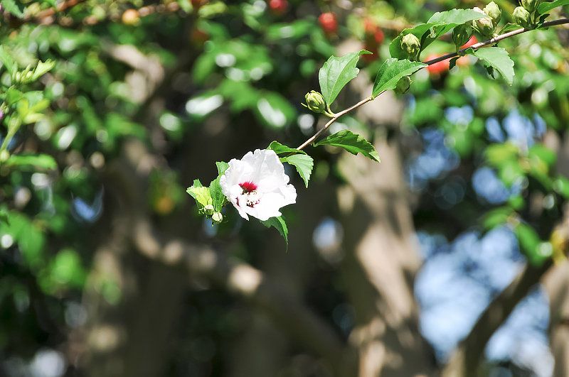 image0129