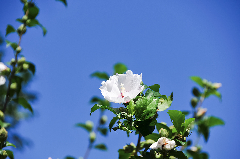image0130