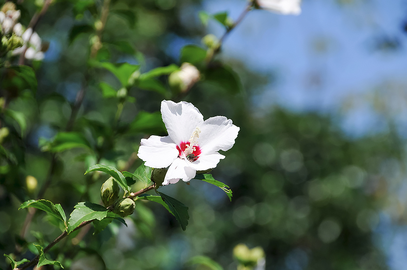 image0133