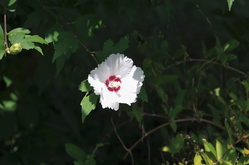 image0134