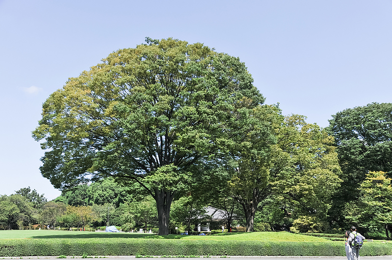image0136