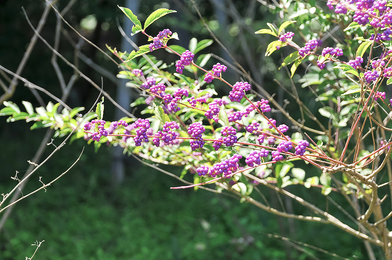 image0140