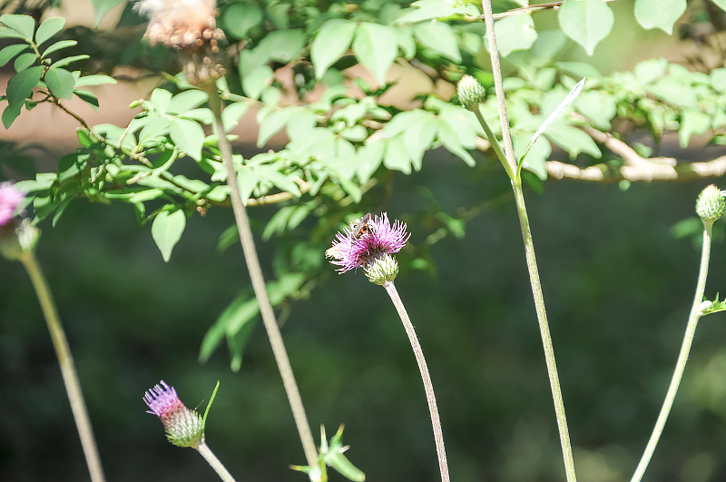 image0158