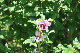 image0128