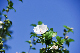 image0130