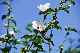 image0131
