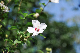image0133