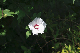 image0134