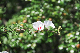 image0135