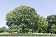 image0136