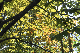 image0137