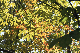 image0138