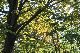 image0139