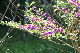 image0140