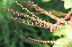 image0141