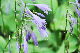 image0144