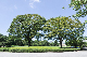 image0145