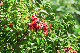 image0146
