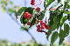 image0149