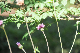 image0158
