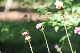image0159