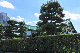 image0187