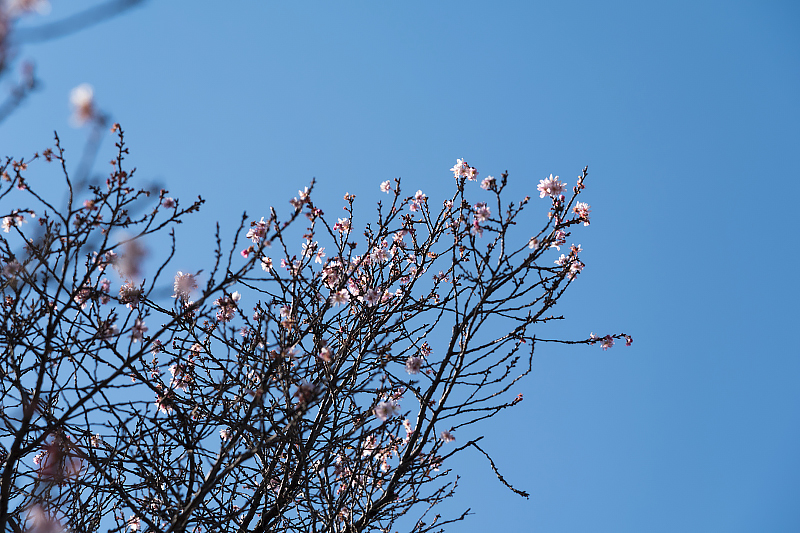 image0147