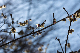 image0324
