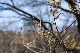 image0328