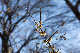 image0329