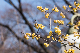 image0330
