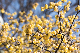 image0331