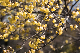 image0332