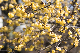 image0333