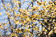 image0334