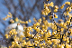 image0335