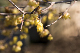 image0336