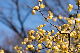 image0337