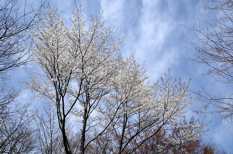 image0130