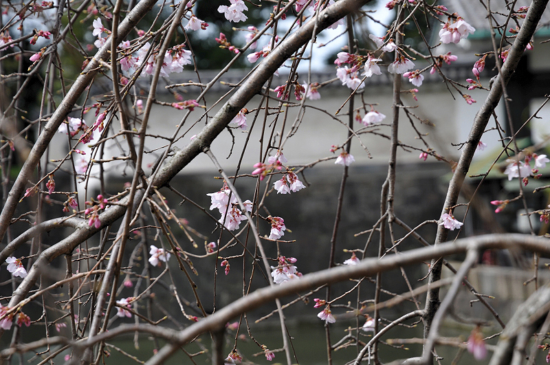 image0202
