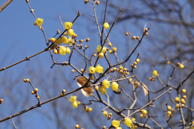 image0113