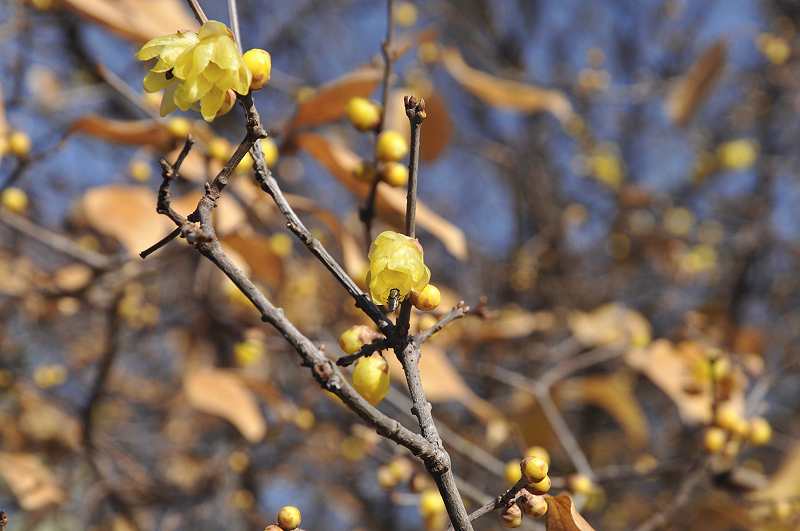image0116